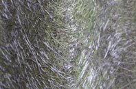 Pillaton fibreglass roof work